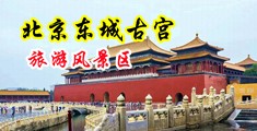 官方交流骚货黑丝啊啊啊啊啊中国北京-东城古宫旅游风景区